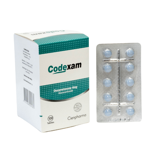 Codexam E1761453097734